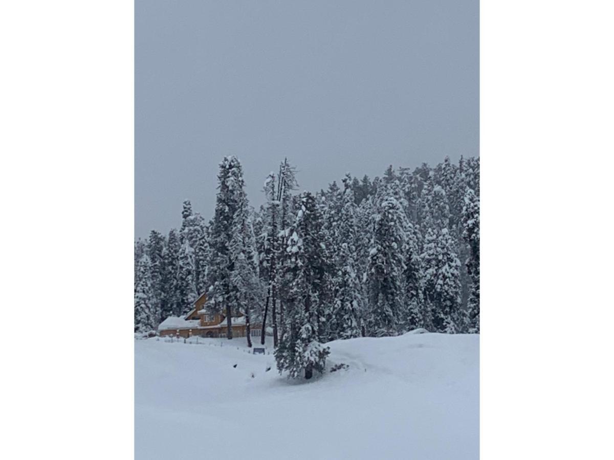 Gulmarg Ski Hill Resort Buitenkant foto
