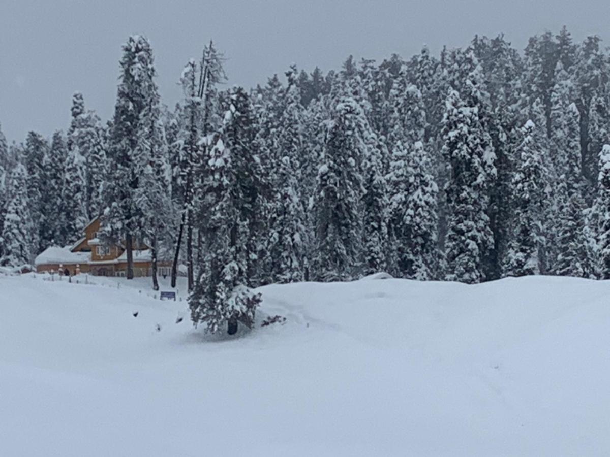 Gulmarg Ski Hill Resort Buitenkant foto